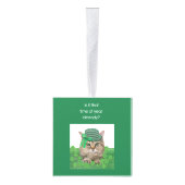 Funny Cat op St. Patrick's Day Decoratie (Rechts)