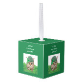 Funny Cat op St. Patrick's Day Decoratie (Achter hoekig)