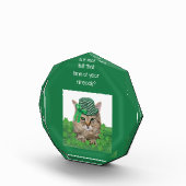 Funny Cat op St. Patrick's Day Fotoblokken (Rechts)