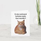 Funny Cat Pet Birthday Wenskaart Bedankkaart (Voorkant)
