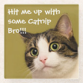 Funny Cat Photo Catnip Caption Glazen Onderzetter (Voorkant)