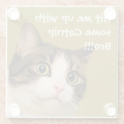 Funny Cat Photo Catnip Caption Glazen Onderzetter (Achterkant)