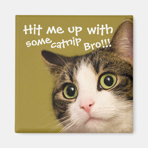 Funny Cat Photo Catnip Caption Magneet
