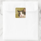 Funny Cat Photo Catnip Caption Vierkante Sticker (Tas)