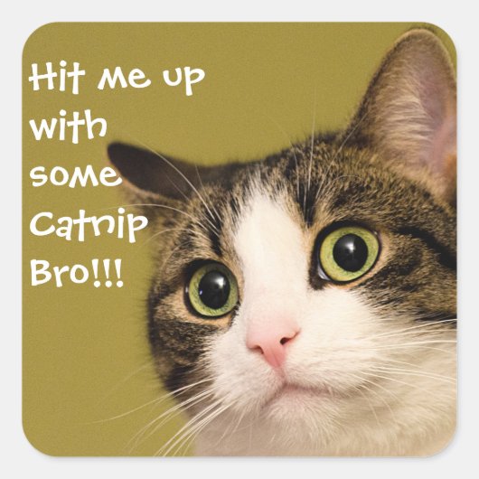 Funny Cat Photo Catnip Caption Vierkante Sticker (Voorkant)