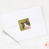 Funny Cat Photo Catnip Caption Vierkante Sticker (Envelop)