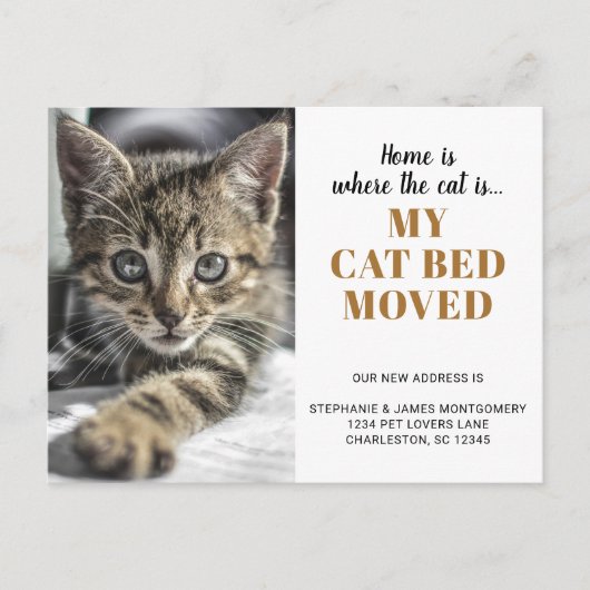 Funny Cat Photo Personalized Pet Moving Aankondigingskaart (Voorkant)
