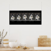 Funny Cat Photo Sequence "THE NEGOTIATOR" Poster (Keuken)