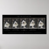 Funny Cat Photo Sequence "THE NEGOTIATOR" Poster (Voorkant)