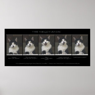 Funny Cat Photo Sequence "THE NEGOTIATOR" Poster
