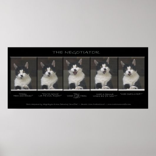 Funny Cat Photo Sequence "THE NEGOTIATOR" Poster (Voorkant)