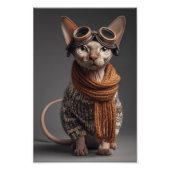 Funny Cat Pilot with Goggles Cool Aviator Aviation Foto Afdruk (Voorkant)
