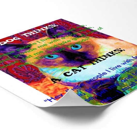 Funny Cat Poster (Hoek)