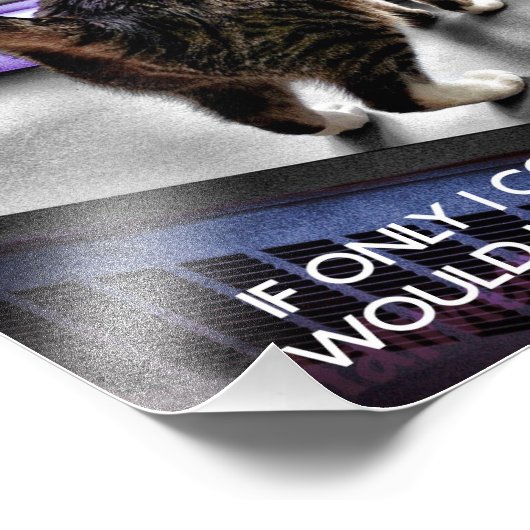 Funny Cat Poster (Hoek)