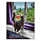 Funny Cat Poster (Voorkant)