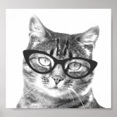 Funny cat posters (Voorkant)