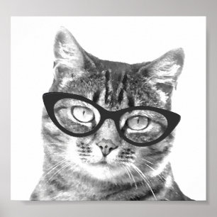 Funny cat posters
