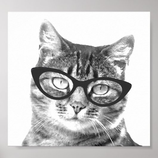 Funny cat posters (Voorkant)