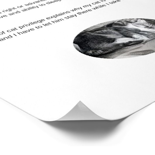 Funny cat privilege slaapt selfie poster matte (Hoek)