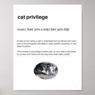 Funny cat privilege slaapt selfie poster matte