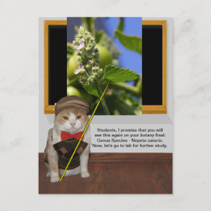 Funny Cat Professor Briefkaart