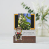 Funny Cat Professor Briefkaart (Staand voorkant)