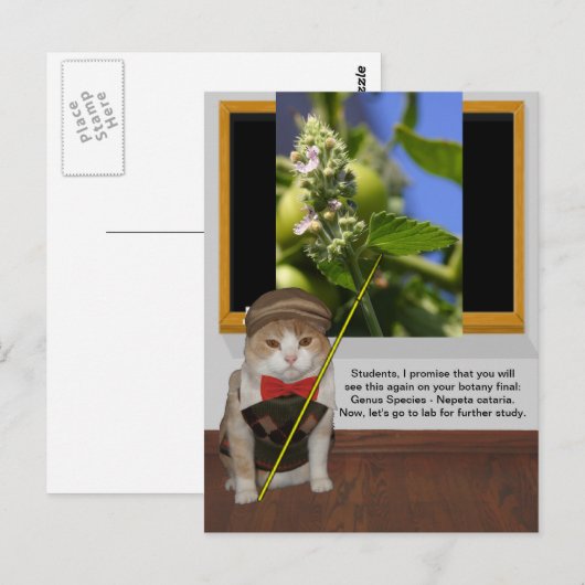 Funny Cat Professor Briefkaart (Voorkant / Achterkant)