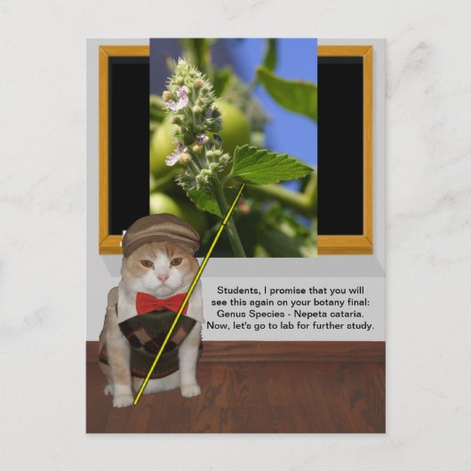 Funny Cat Professor Briefkaart (Voorkant)