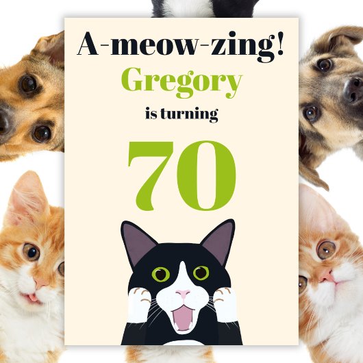 Funny cat pun uitnodiging voor 70e verjaardag