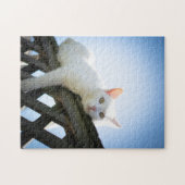 Funny Cat Puzzle Legpuzzel (Horizontaal)