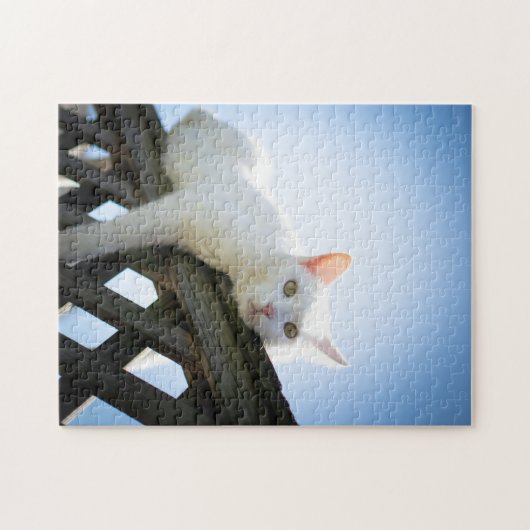 Funny Cat Puzzle Legpuzzel (Horizontaal)