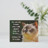 Funny Cat Quote, kijk naar je Briefkaart (Staand voorkant)