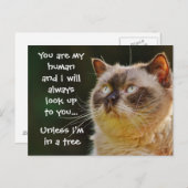 Funny Cat Quote, kijk naar je Briefkaart (Voorkant / Achterkant)