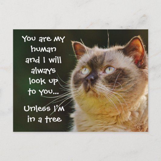 Funny Cat Quote, kijk naar je Briefkaart (Voorkant)