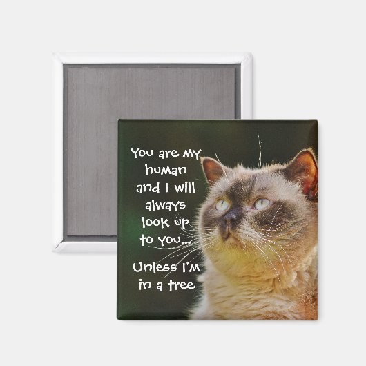Funny Cat Quote, kijk naar je Magneet (Voorkant / Achterkant)