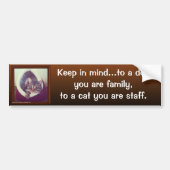 Funny Cat Quote-tablet in een foto van de Hut Bumpersticker (Voorkant)