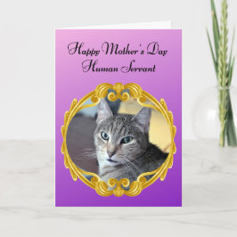 Funny Cat Regels het Huishouden Moederdag Kaart