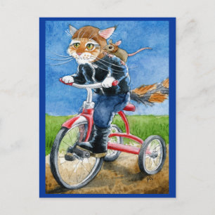 Funny Cat Riding Tricycle briefkaart