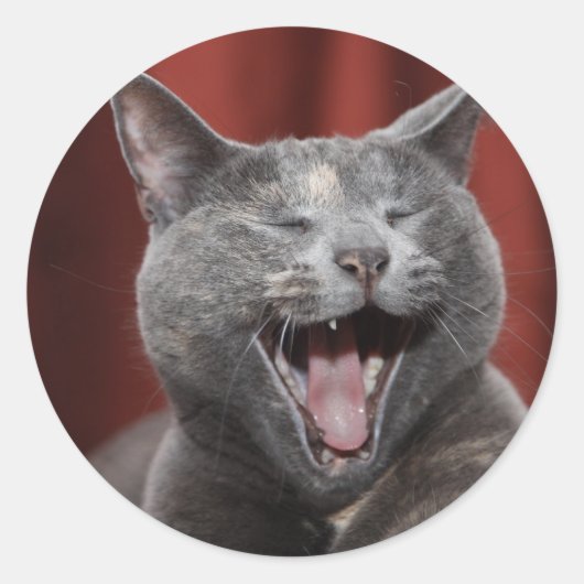 Funny cat ronde sticker (Voorkant)