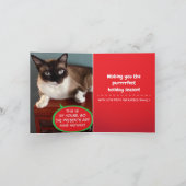 Funny Cat Santa Claws Holiday Folded Wenskaart Feestdagen Kaart (Binnen)