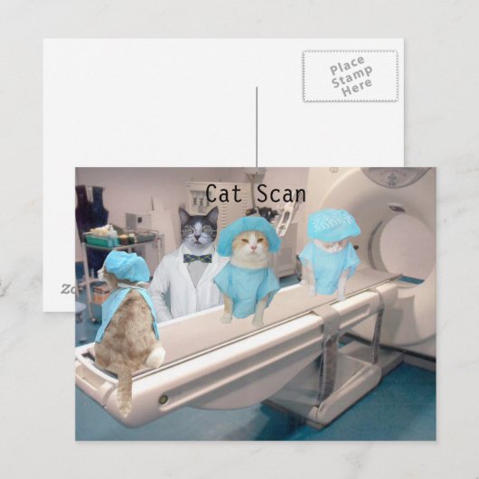 Funny Cat Scan Afbeelding Briefkaart (Voorkant / Achterkant)
