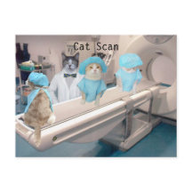Funny Cat Scan Afbeelding