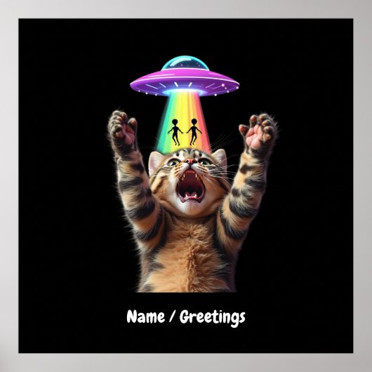 Funny Cat Selfie Alien UFO Hilarisch Poster (Voorkant)