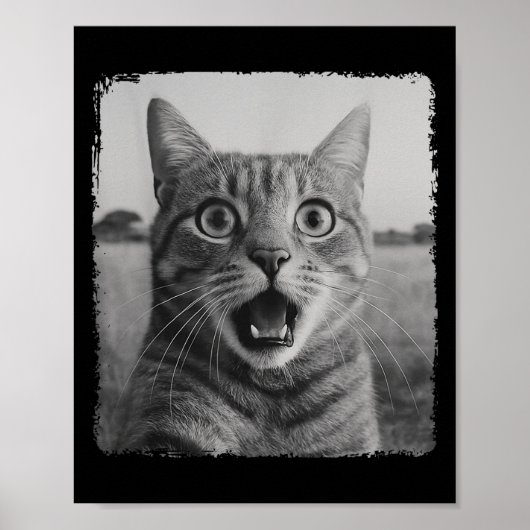 Funny Cat Selfie Meme Graphic Voor Mannen Vrouwen  Poster (Voorkant)