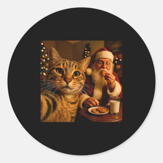 Funny Cat Selfie With Santa Claus Christmas Meme Ronde Sticker (Voorkant)