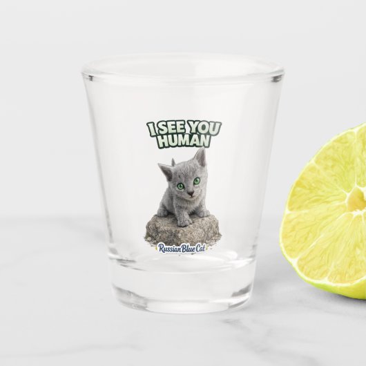 Funny Cat Shot Glass – I See You Human Glas (Voorkant)