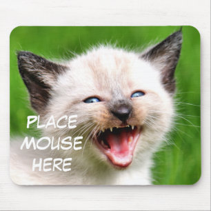 Funny Cat Siamese Kitten Place Mouse hier Muismat