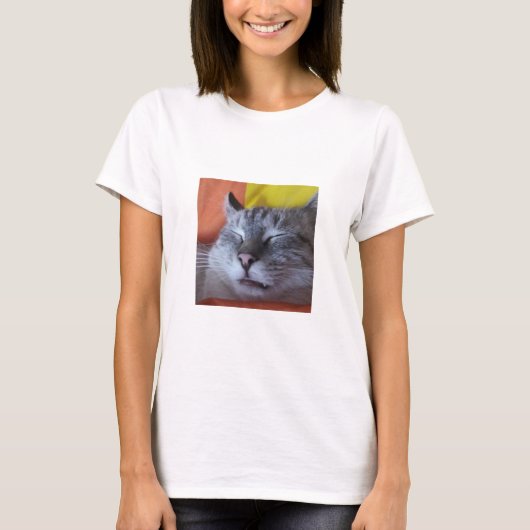 Funny Cat Slapeping Women's T-Shirt (Voorkant)