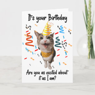 Funny Cat Smiling Birthday Wenskaart  Kaart