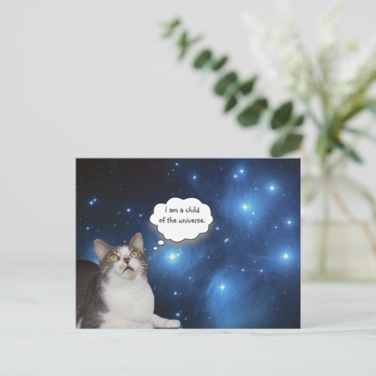 Funny Cat Star Gazer Briefkaart (Staand voorkant)